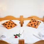 Palatin Gasthof 3*
