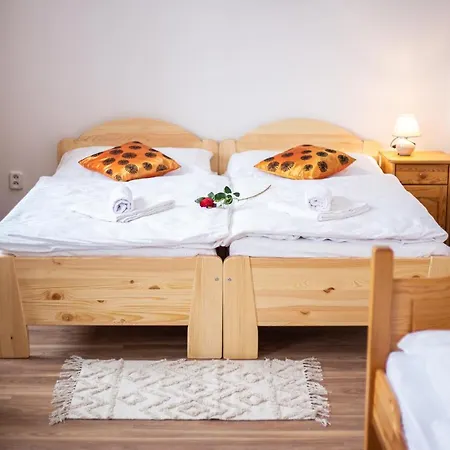 Palatin Gasthof Rajecké Teplice
