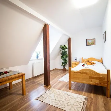 Palatín Pensión 3*